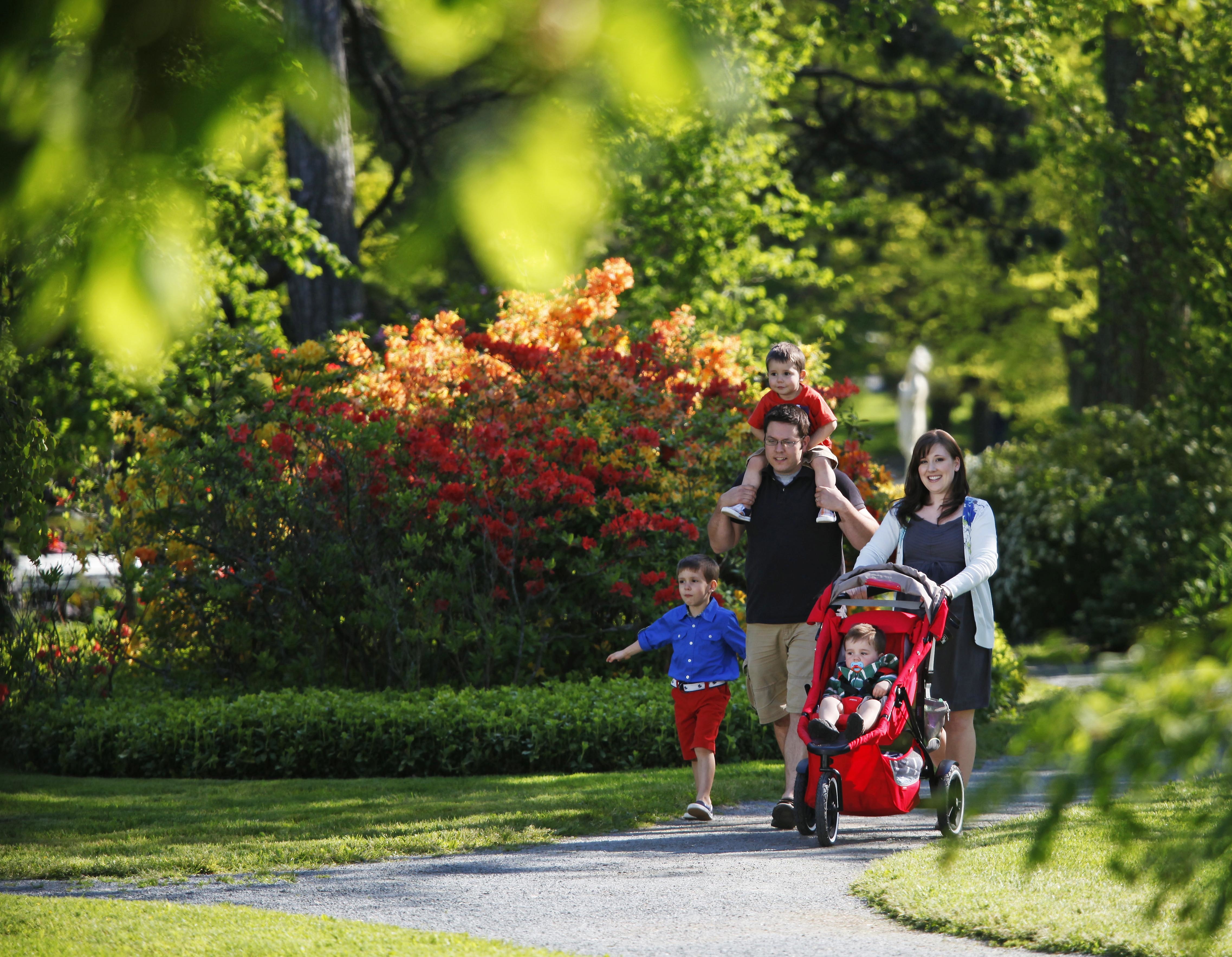 Family taking a walk